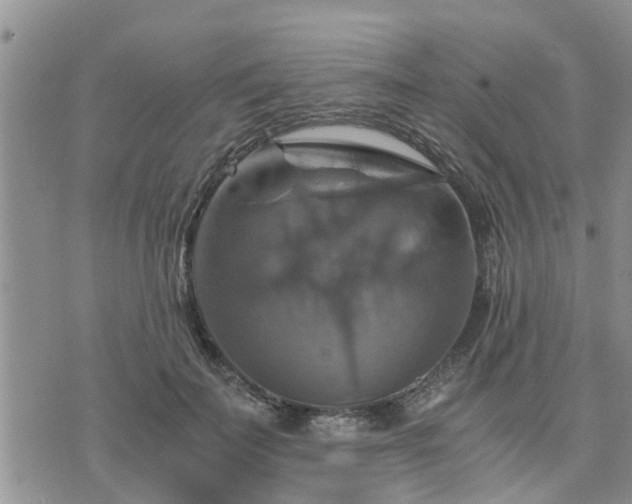 X0000075860699200609221756