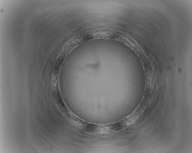 X0000075860701200609221756