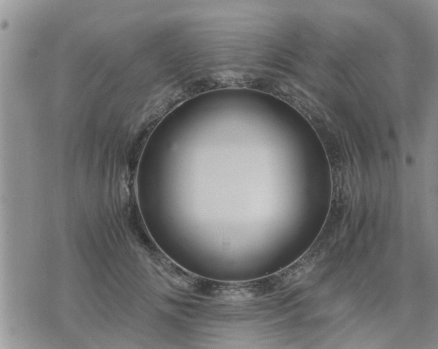 X0000075860702200609221756