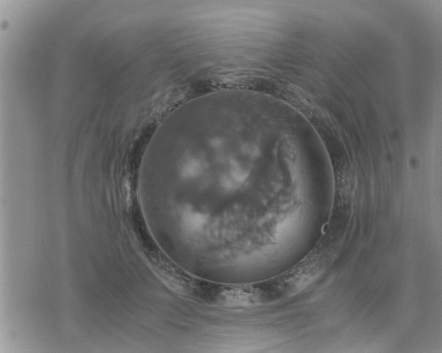 X0000075860703200609221756