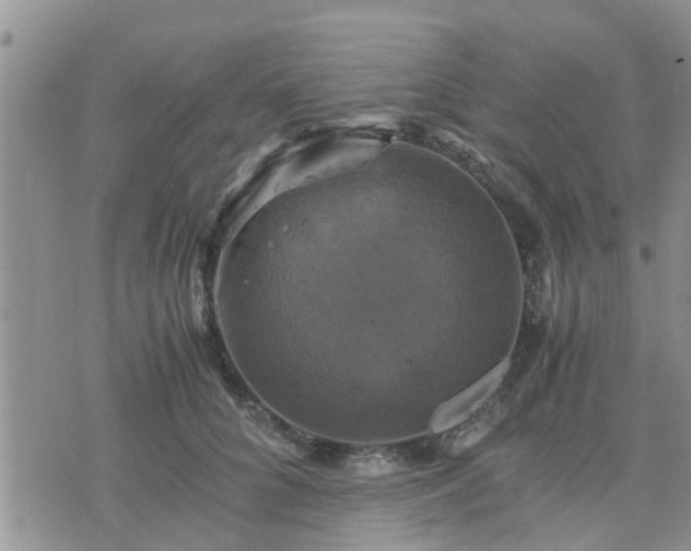 X0000075860704200609221756