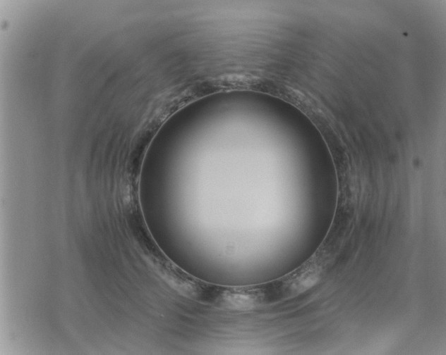 X0000075860706200609221756