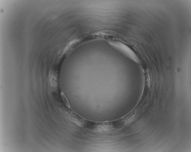 X0000075860708200609221756