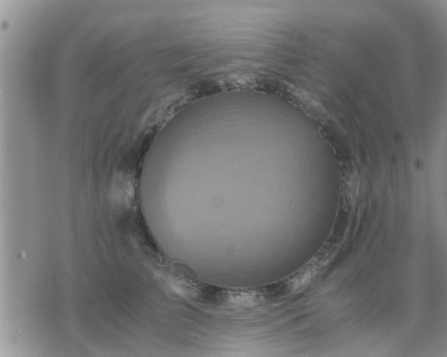 X0000075860709200609221755