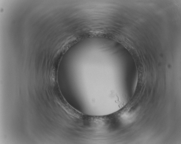 X0000075860710200609221755