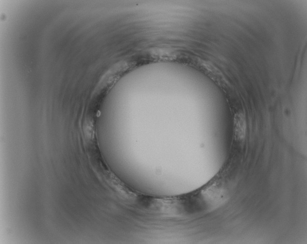 X0000075860713200609221755