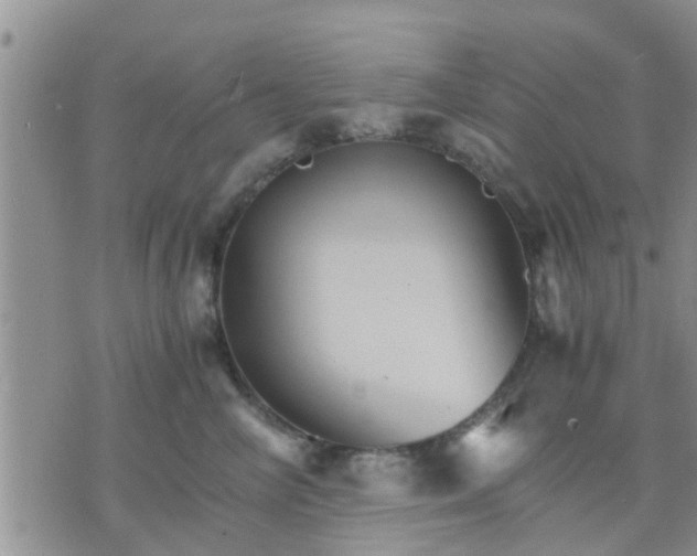 X0000075860714200609221755