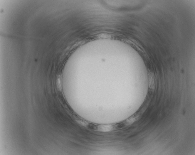 X0000075860717200609221755