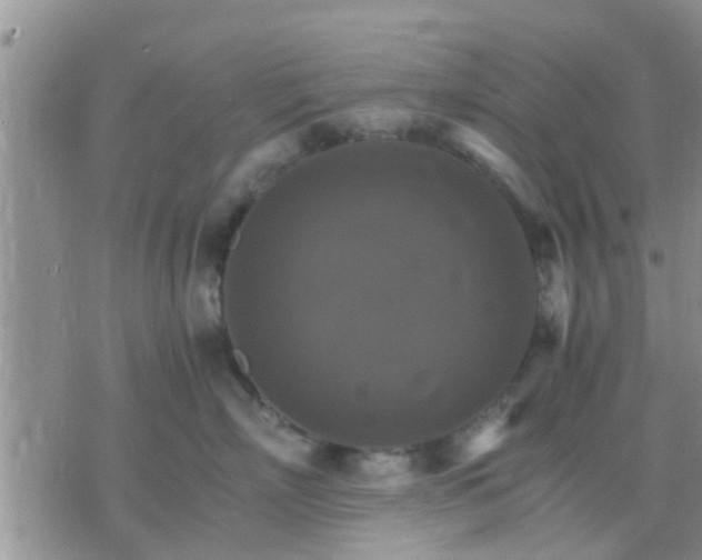 X0000075860718200609221755