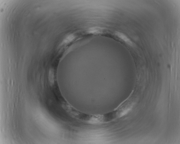 X0000075860720200609221755