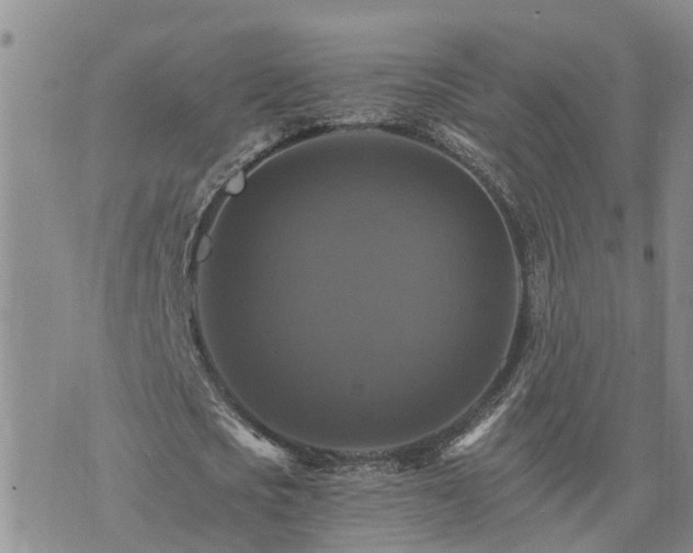 X0000075860721200609221755