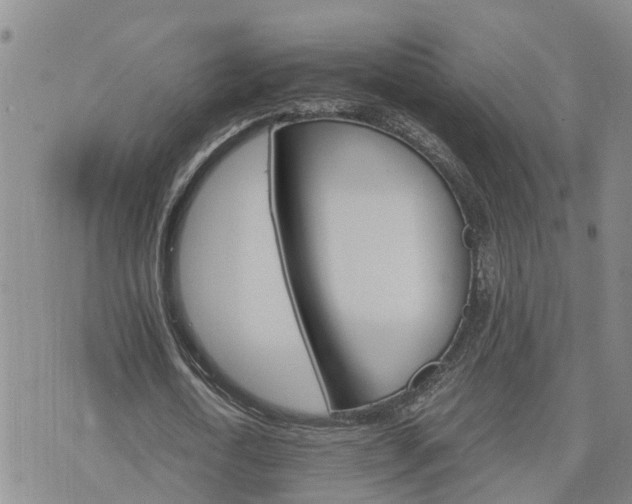 X0000075860722200609221755