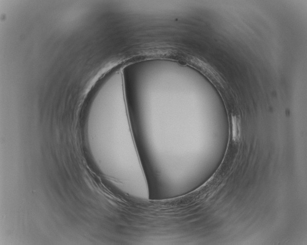 X0000075860723200609221755