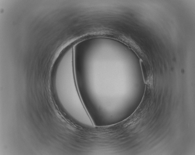 X0000075860724200609221755