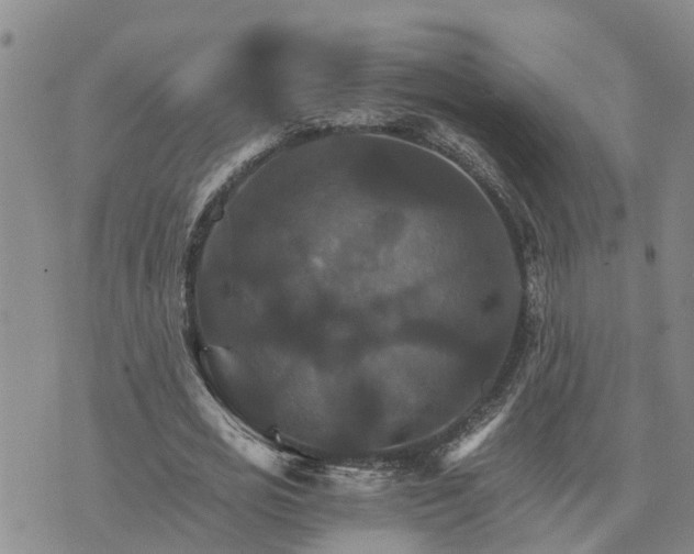 X0000075860725200609221755