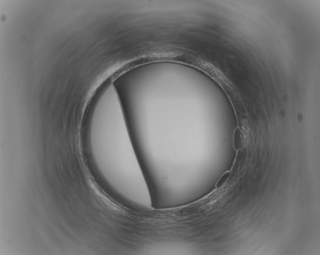 X0000075860726200609221755