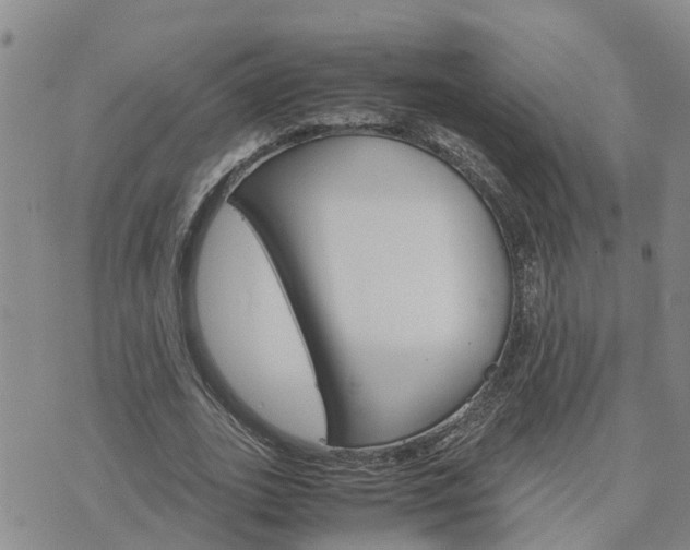 X0000075860727200609221755