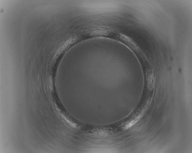 X0000075860729200609221755