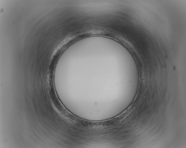 X0000075860730200609221755