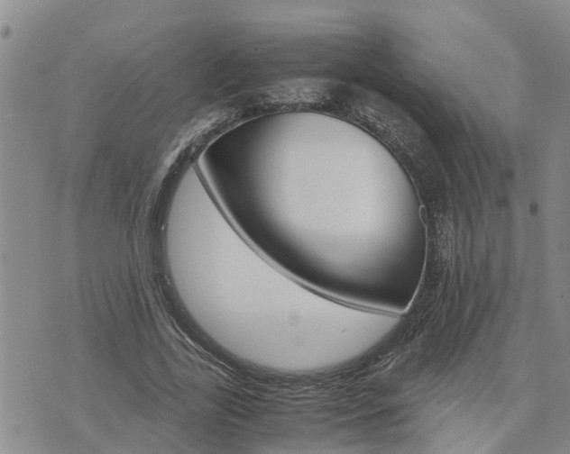 X0000075860731200609221755