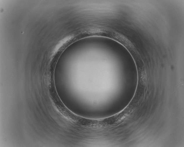 X0000075860732200609221755