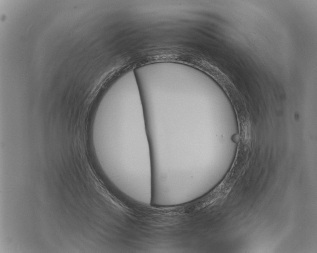 X0000075860733200609221755