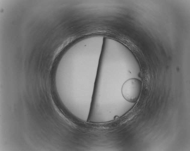 X0000075860734200609221755