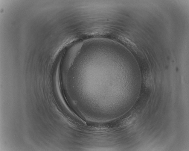 X0000075860735200609221755