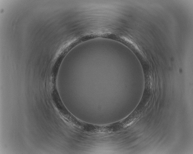 X0000075860736200609221755