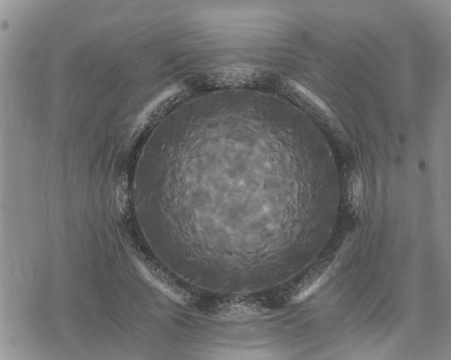 X0000075860737200609221755