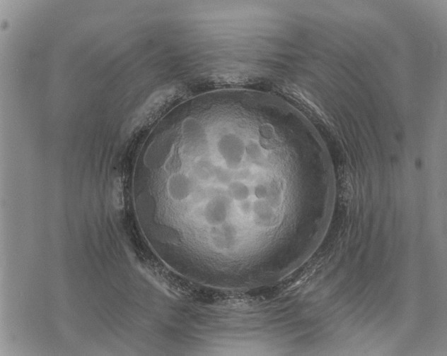 X0000075860738200609221755