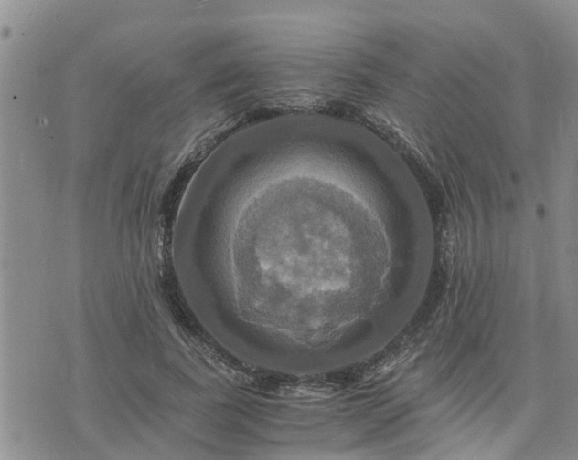 X0000075860739200609221755