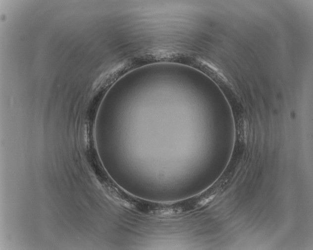 X0000075860740200609221755