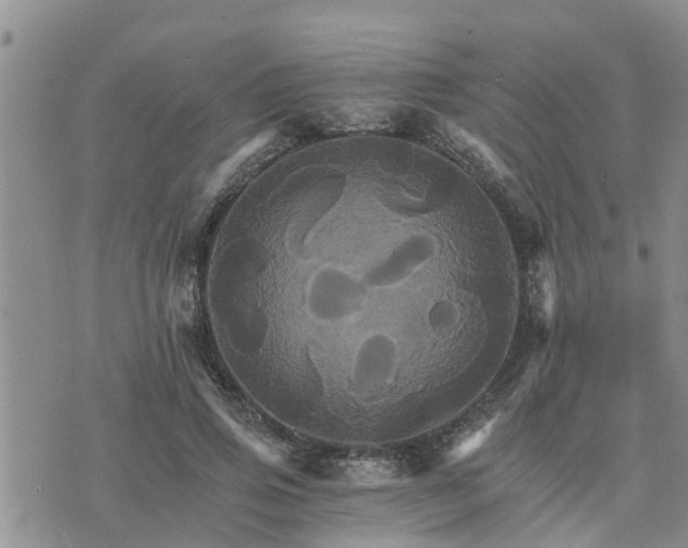 X0000075860741200609221755