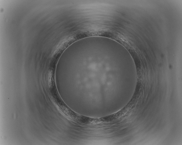 X0000075860742200609221755