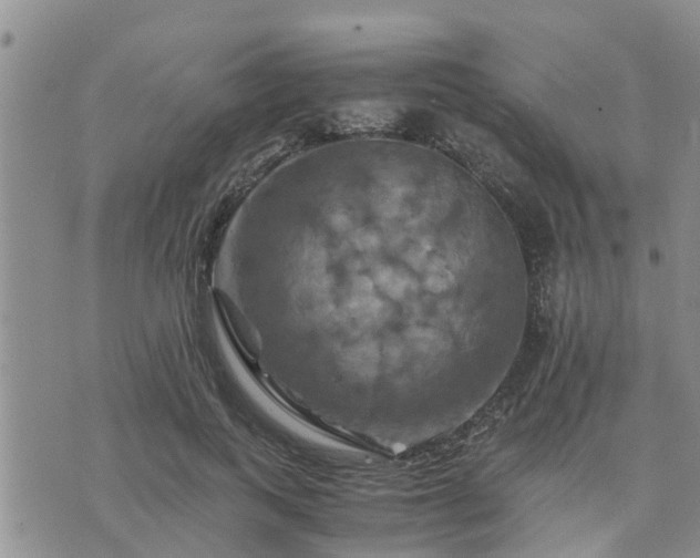 X0000075860743200609221755