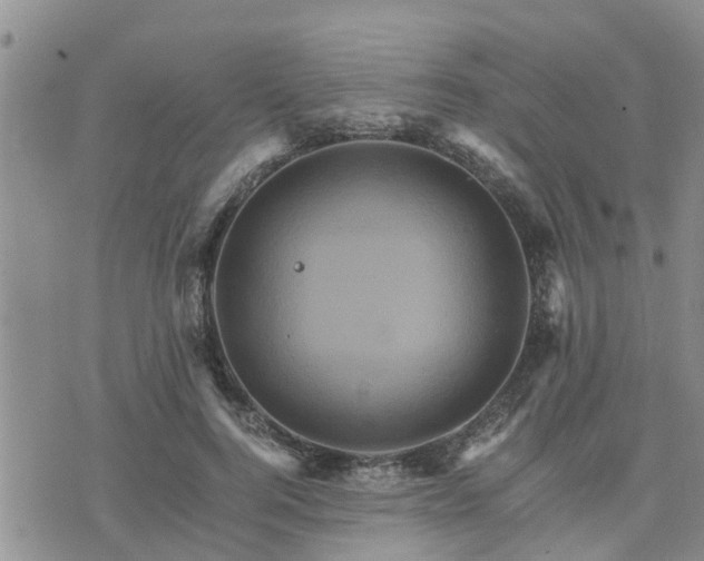 X0000075860744200609221755