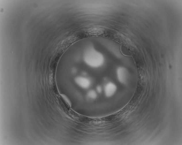 X0000075860745200609221755