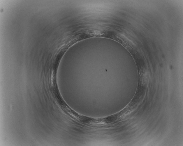 X0000075860747200609221755