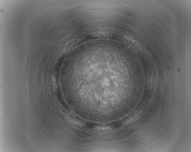 X0000075860749200609221755