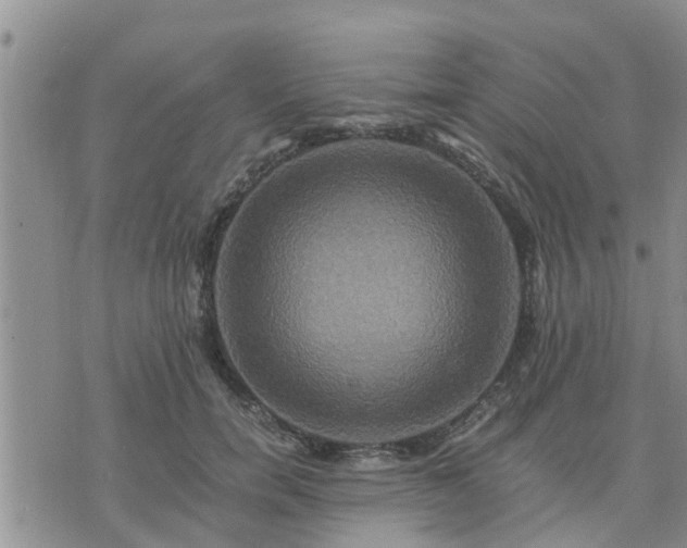 X0000075860750200609221755