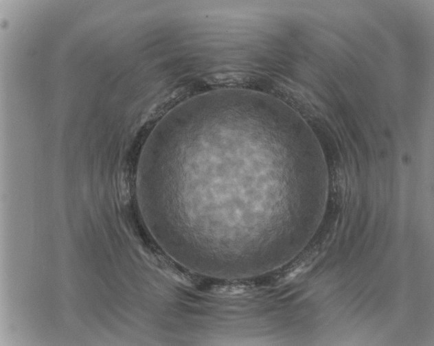 X0000075860751200609221755