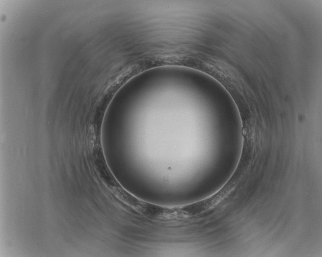 X0000075860752200609221755