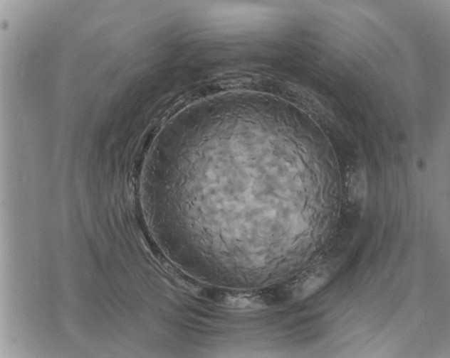 X0000075860753200609221755