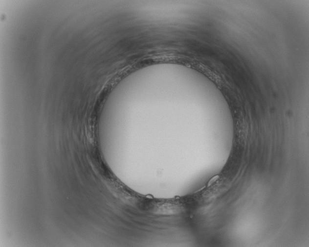 X0000075860755200609221755