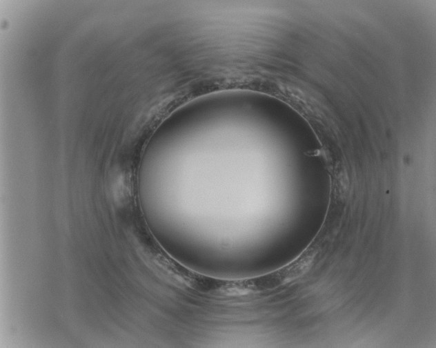 X0000075860756200609221755