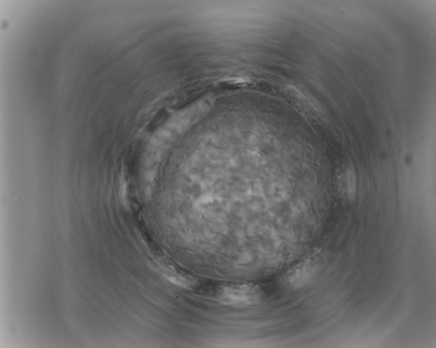 X0000075860757200609221755