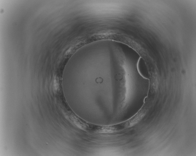 X0000075860758200609221755