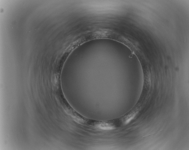 X0000075860759200609221755