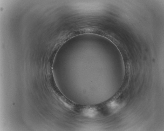 X0000075860760200609221755